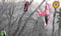 Precipita col parapendio e resta "appeso" sull'albero a dieci metri d'altezza: salvato pilota padovano