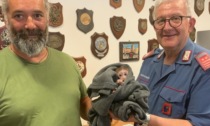 Il cucciolo di macaco rapito dallo zoo Cappeller di Cartigliano è ritornato tra le braccia della sua mamma