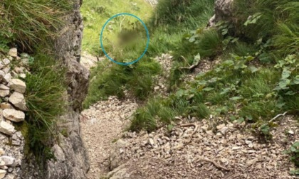 Valli del Pasubio, caduta mortale sul monte Cornetto: un escursionista è ruzzolato per un centinaio di metri