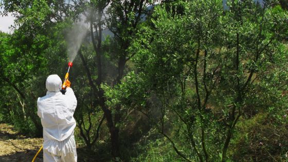 West Nile Virus, primo caso a Vicenza: le regole per la prevenzione, ecco cosa fare