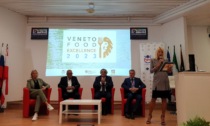 Veneto food excellence 2023, premiati 11 ristoranti vicentini. Ecco quali