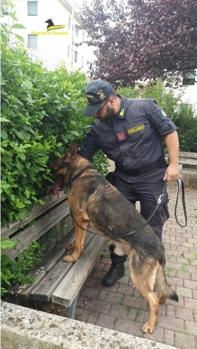 Pusher in manette a Valdagno, la droga a Montecchio Maggiore invece era nascosta in un albero del parco