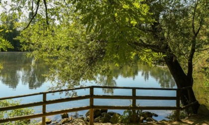 Sentieri sonori, il festival del "climate positive" sulle sponde del fiume Brenta: a Nove saranno piantati 50 nuovi alberi