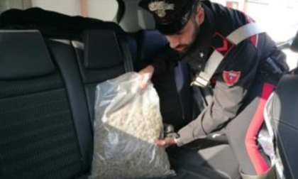 Viaggiavano con "un sacco" di marijuana sul sedile posteriore, addosso avevano anche diverse dosi di cocaina