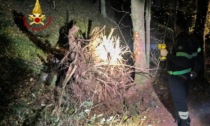 Tragedia nei boschi di Arzignano, un bosciaolo è morto travolto da un grosso ceppo