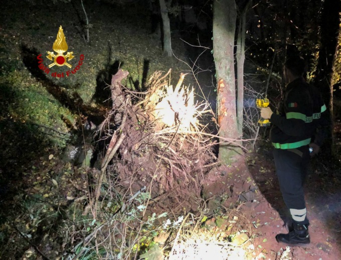 Tragedia nei boschi di Arzignano, un bosciaolo è morto travolto da un grosso ceppo