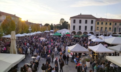 Cosa fare a Vicenza e provincia nel weekend: gli eventi di sabato 11 e domenica 12 novembre 2023