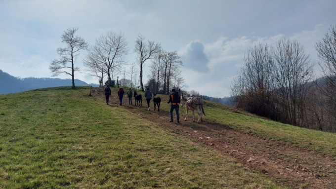 Cosa fare a Vicenza e provincia nel weekend: gli eventi di sabato 23 e domenica 24 marzo 2024