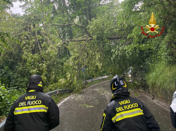 Maltempo a Santorso, cadono due alberi lungo la strada per Sant’Ulderico