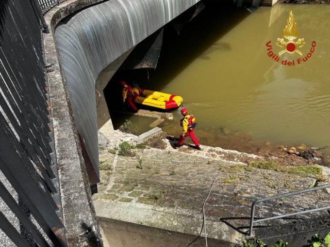 Cane senza vita recuperato nelle acque del fiume Bacchiglione