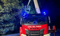 Il vento forte fa "strage" di alberi nell'alto vicentino