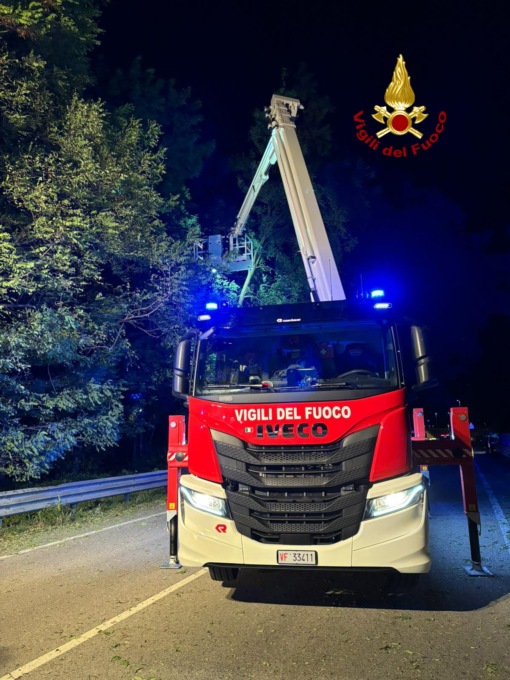 Il vento forte fa “strage” di alberi nell’alto vicentino