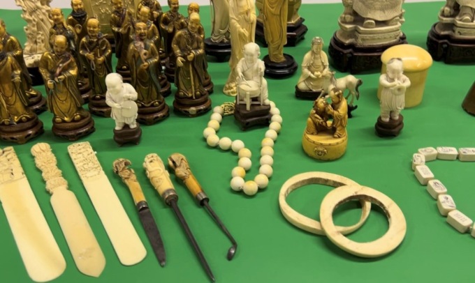 Controlli nei mercatini d’antiquariato vicentini, sequestrati 18 manufatti in avorio senza certificazione