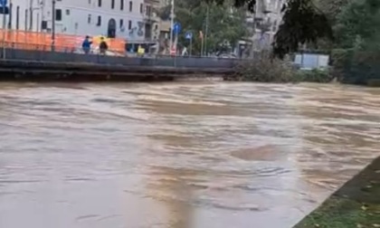 Scende il livello del fiume Bacchiglione, ma resta l'allerta arancione fino a domenica 20 ottobre 2024