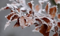 Ondata di freddo nel pomeriggio di giovedì 21 novembre 2024, primi fiocchi di neve in arrivo anche a Vicenza