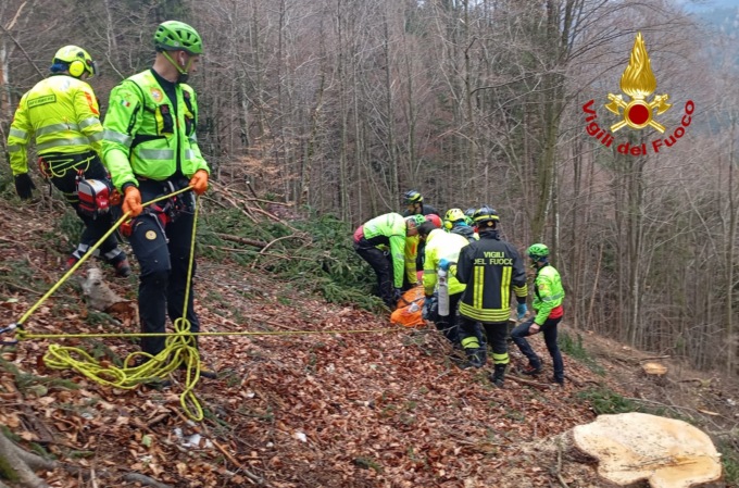 Sfortunata operazione di disboscamento: boscaiolo ferito dall’abete appena tagliato
