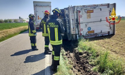 Camion con rimorchio che trasporta bovini si ribalta in un campo a lato strada