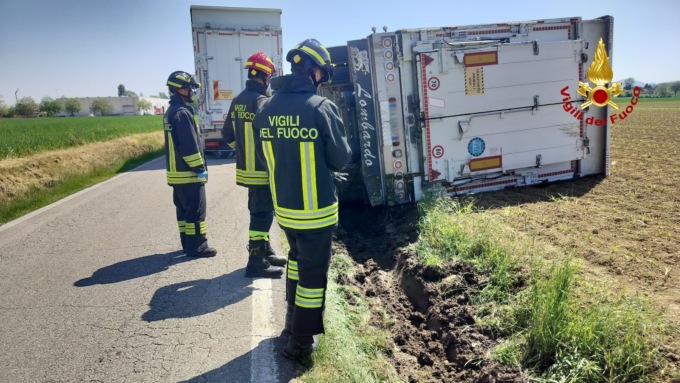 Camion con rimorchio che trasporta bovini si ribalta in un campo a lato strada