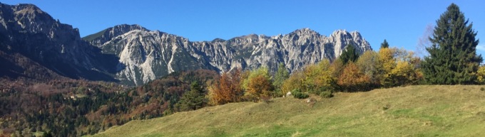 Cosa fare a Vicenza ed in provincia nel weekend: gli eventi da sabato 10 a domenica 11 maggio 2025