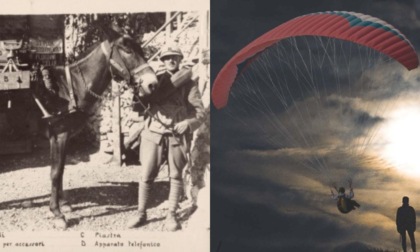 Dal libro alla pellicola: la trasposizione cinematografica del romanzo "Sulle ali del vento"