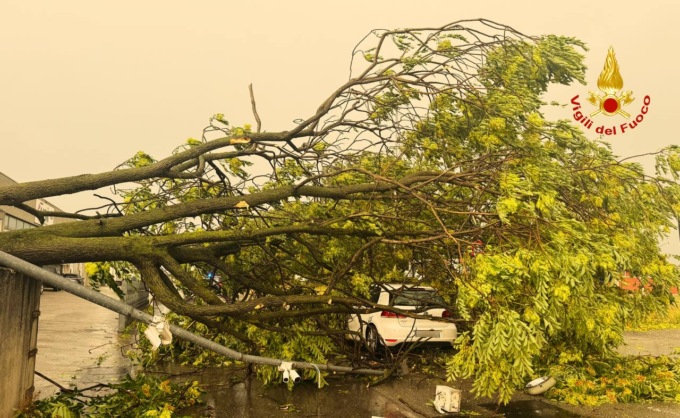 La caduta di un albero causa il forte vento, colpisce una vettura in transito