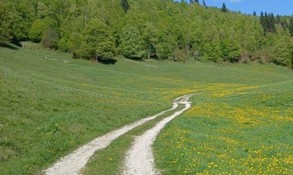 Nordicwalking Montegrappa Asd chiude agosto con il botto!