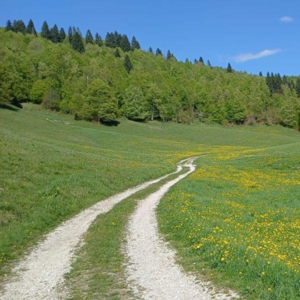 Nordicwalking Montegrappa Asd chiude agosto con il botto!