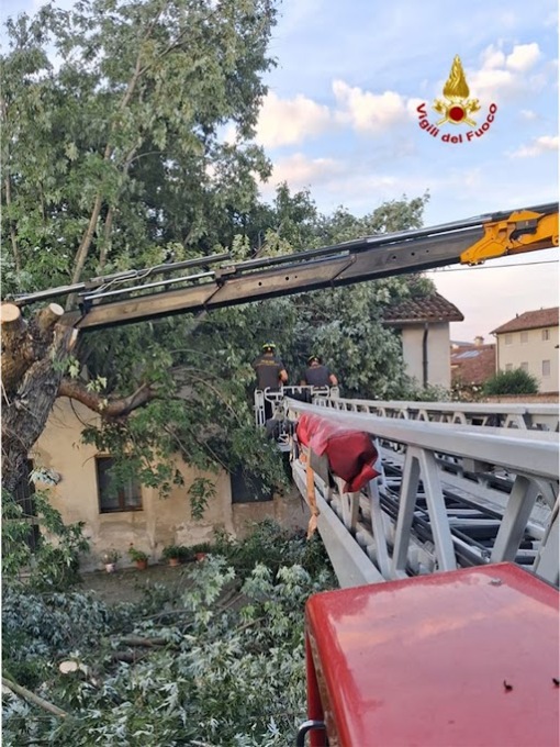 Pianta si spezza e cade su una casa a Sandrigo