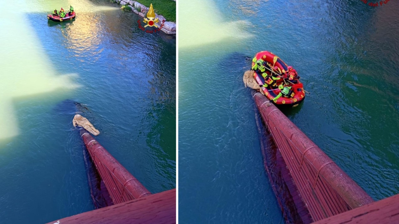 Recuperata coperta incastrata sotto il Ponte degli Alpini sul fiume Brenta