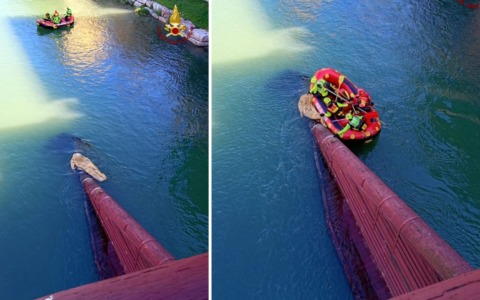 Recuperata coperta incastrata sotto il Ponte degli Alpini sul fiume Brenta