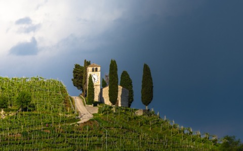 Cosa fare a Vicenza e provincia nel weekend: eventi di sabato 20 e domenica 21 settembre 2025
