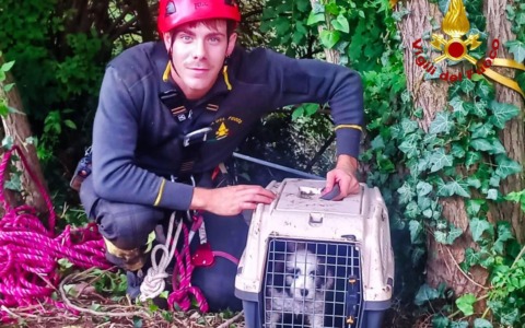 Cucciolo di due mesi cade in un dirupo di 40 metri: salvato dai Vigili del fuoco