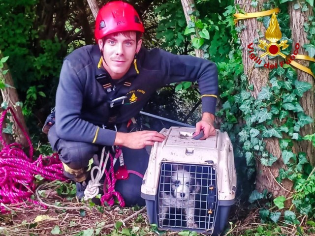 Cucciolo di due mesi cade in un dirupo di 40 metri: salvato dai Vigili del fuoco