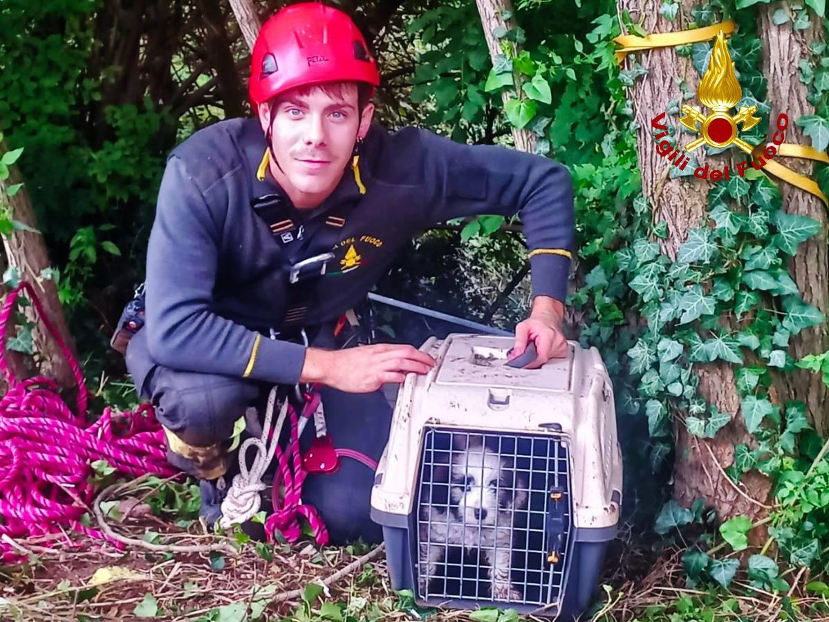 Cucciolo di due mesi cade in un dirupo di 40 metri: salvato dai Vigili del fuoco