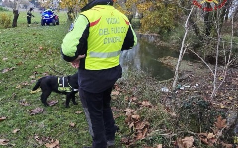 88enne scomparso in mattinata, trovato morto alcune ore dopo