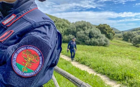 Autunno di denunce, sequestri di armi e munizioni, trappole e volatili vivi e morti