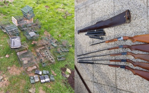 Bracconiere cacciava uccelli a Marano Vicentino con fucili modificati, gabbie e richiami illegali