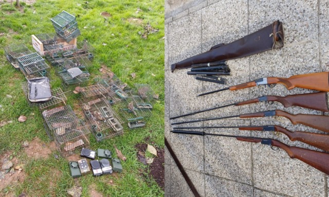 Bracconiere cacciava uccelli a Marano Vicentino con fucili modificati, gabbie e richiami illegali