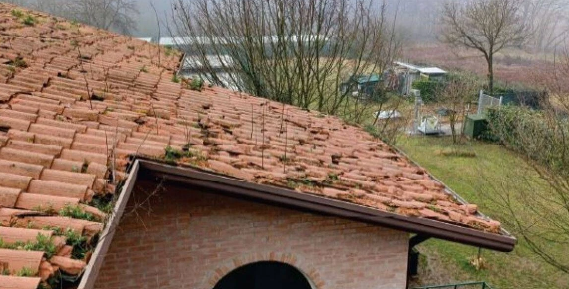 Tetto del canile di Vicenza in pessime condizioni: sarà completamente rifatto