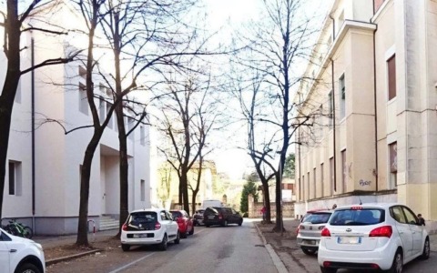 Alberi a rischio schianto saranno rimossi dai giardini frequentati da studenti durante le vacanze natalizie