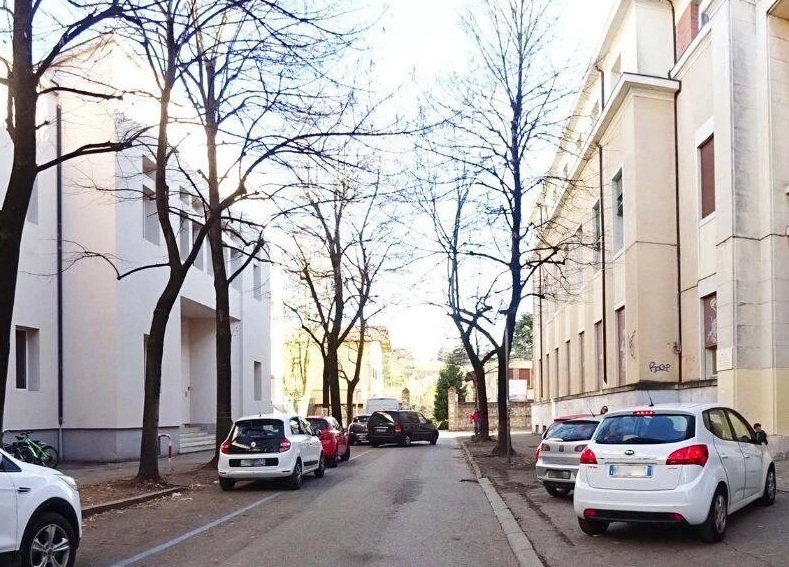 Alberi a rischio schianto saranno rimossi dai giardini frequentati da studenti durante le vacanze natalizie