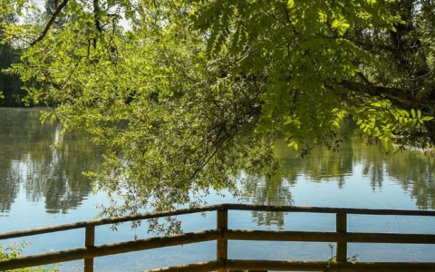 Avviso del Comune: esche avvelenate lungo il Brenta