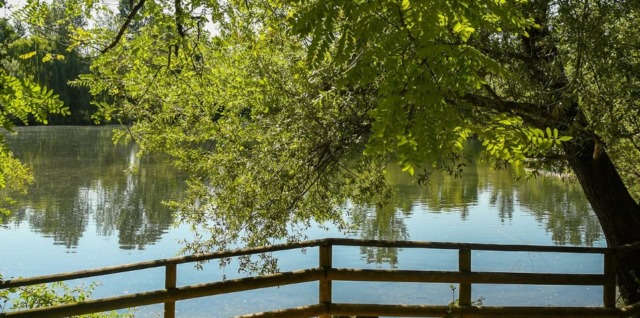 Avviso del Comune: esche avvelenate lungo il Brenta