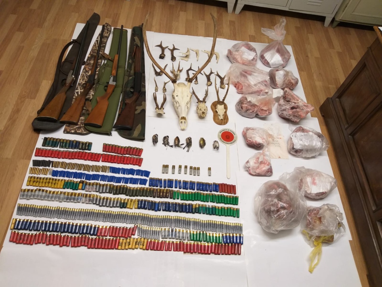 Scoperto bracconiere nei boschi di San Pietro Mussolino: in casa trovate cartucce illegali e teschi di cervi e caprioli