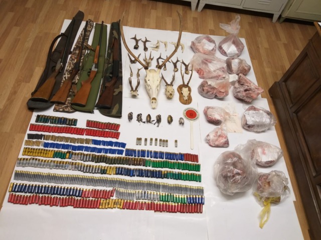 Scoperto bracconiere nei boschi di San Pietro Mussolino: in casa trovate cartucce illegali e teschi di cervi e caprioli