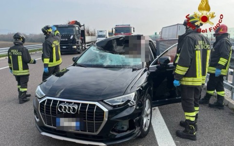 Cervo sfonda parabrezza sulla SPV a Bassano: grave la conducente